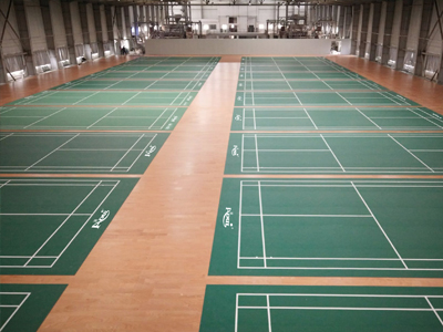 Badminton training center